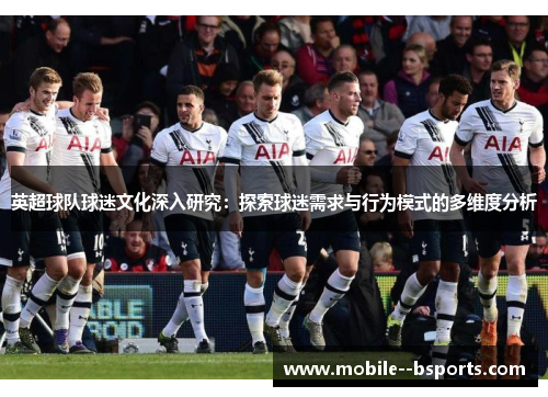 英超球队球迷文化深入研究：探索球迷需求与行为模式的多维度分析
